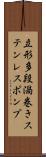 立形多段渦巻きステンレスポンプ Scroll