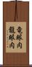 竜眼肉 Scroll