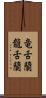 竜舌蘭 Scroll