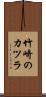 竹崎のカツラ Scroll