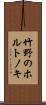竹野のホルトノキ Scroll