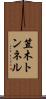笠木トンネル Scroll