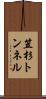 笠杉トンネル Scroll