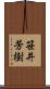 笹井芳樹 Scroll
