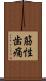 筋性歯痛 Scroll