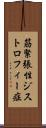 筋緊張性ジストロフィー症 Scroll