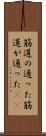 筋道の通った Scroll
