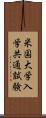 米国大学入学共通試験 Scroll