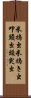 米搗虫;米搗き虫;叩頭虫;額突虫 Scroll