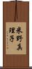 米野真理子 Scroll