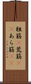 粗筋(P) Scroll