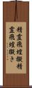 精霊飛蝗擬 Scroll