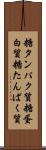 糖タンパク質 Scroll