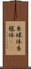 糸球体 Scroll