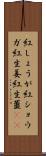 紅しょうが Scroll