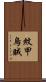 紋甲烏賊 Scroll