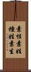 素性 Scroll