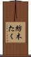 紡木たく Scroll