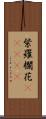 紫羅欄花(ateji) Scroll