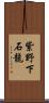 紫野下石龍 Scroll