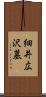 細井広沢墓 Scroll