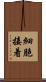細胞接着 Scroll