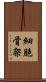 細胞骨架 Scroll