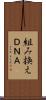 組み換えＤＮＡ Scroll