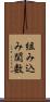 組み込み関数 Scroll