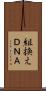 組換えＤＮＡ Scroll