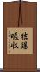 結腸吸収 Scroll