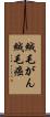 絨毛がん Scroll