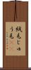絨毛 Scroll