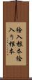 絵入根本 Scroll
