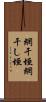 網干垣 Scroll