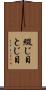 綴じ目 Scroll