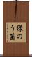 緑のう菌 Scroll