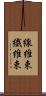 線維束 Scroll