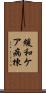 緩和ケア病棟 Scroll