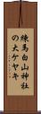 練馬白山神社の大ケヤキ Scroll