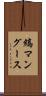 縞マングース Scroll