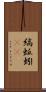 縞蚯蚓(rK) Scroll