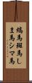 縞馬;斑馬;しま馬;シマ馬 Scroll