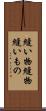 縫い物 Scroll