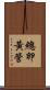 總卵黃管 Scroll