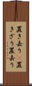 置き去り(P) Scroll