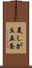 美しが丘五条 Scroll
