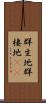 群生地 Scroll