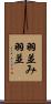 羽並み Scroll