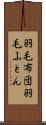 羽毛布団 Scroll